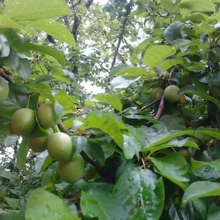 Eylul Kir Evi Kirbahcesi Konaklama